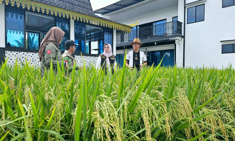 Img 20250327 wa0231