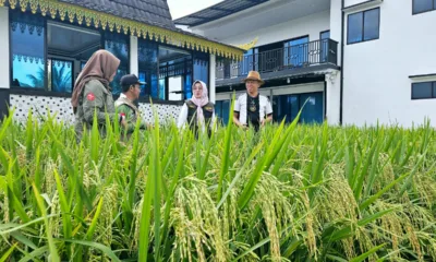 Img 20250327 wa0231