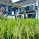Img 20250327 wa0231