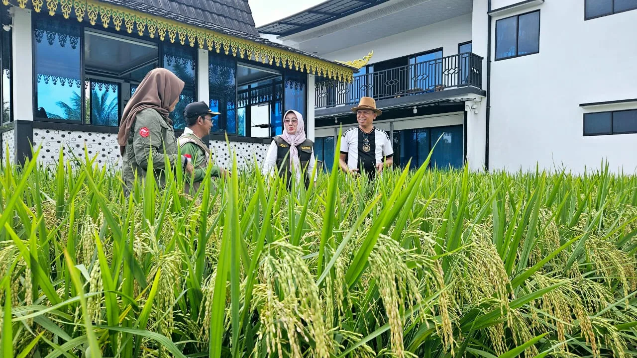 Img 20250327 wa0231