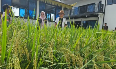 Img 20250327 wa0234