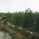 Img 20250422 wa0116