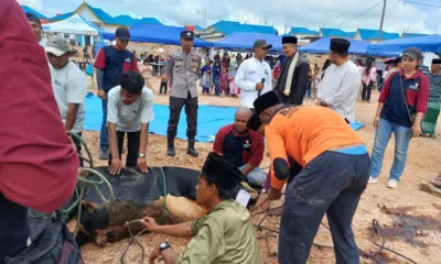 Img 20250606 wa0552