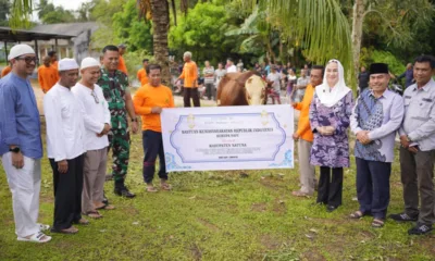 Img 20250607 wa0092