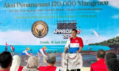Img 20250619 wa0104