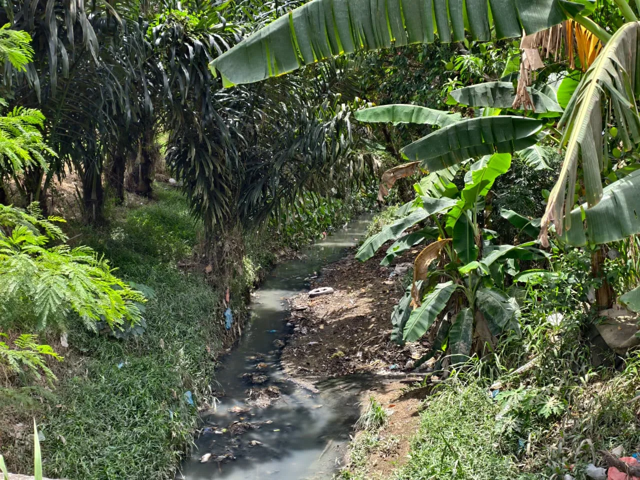 Img 20250821 wa0203