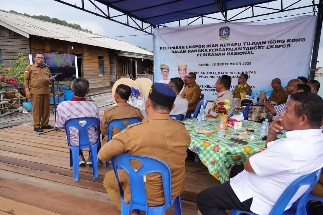 D48a05433f0125596b415e4b26b25166