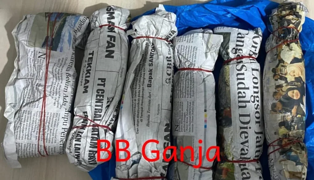 Img 20251009 wa0078