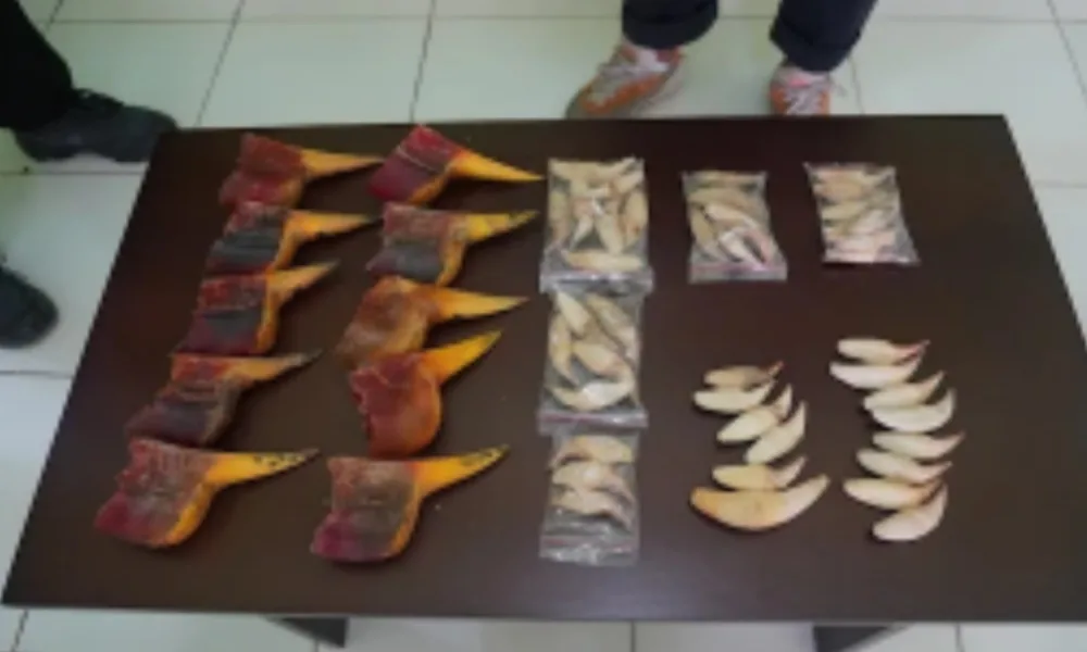 Screenshot 20251024 193842 drive