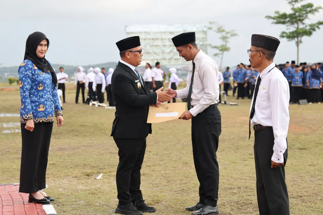 A908e5d3cb053a00a45e98d5deb252c5