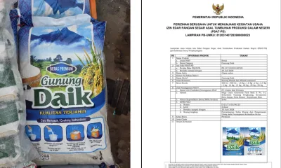 Beras lokal gunung daik