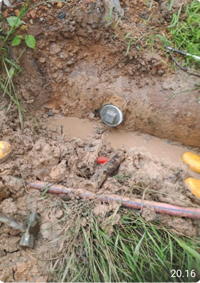 Screenshot 20251204 003455 WhatsApp