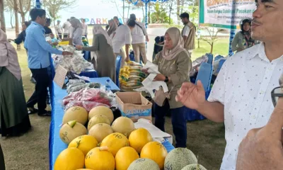 Screenshot 20260209 132654 WhatsApp